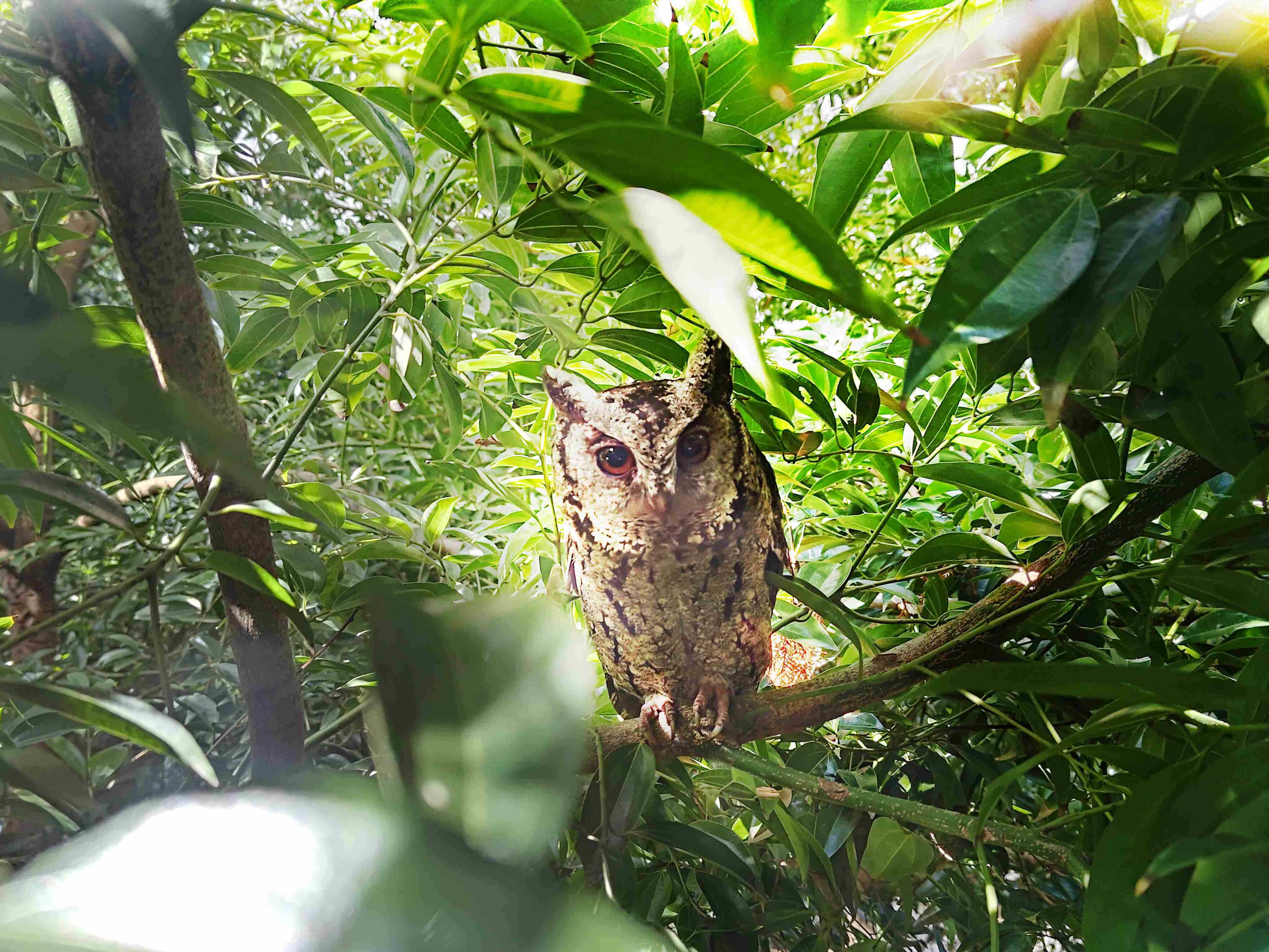 z6mg·人生就是博致力提倡净零绿生活，，，，16年以来在全球各厂区植树逾百万棵，，，造就各厂区树木蔚然成林，，，犹如森林工厂，，，成为许多生物的栖息地